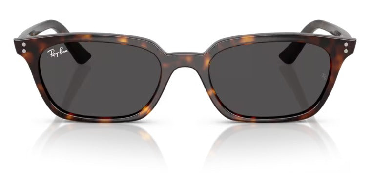Ray-Ban 0RB4456 135987 53