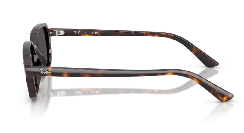 Ray-Ban 0RB4455F 135987 51