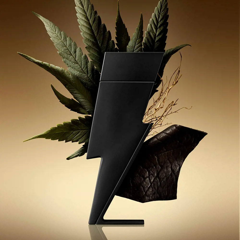 Bad Boy Le Parfum by Carolina Herrera