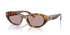 Miu Miu 0MU A03SF 14L20I 53