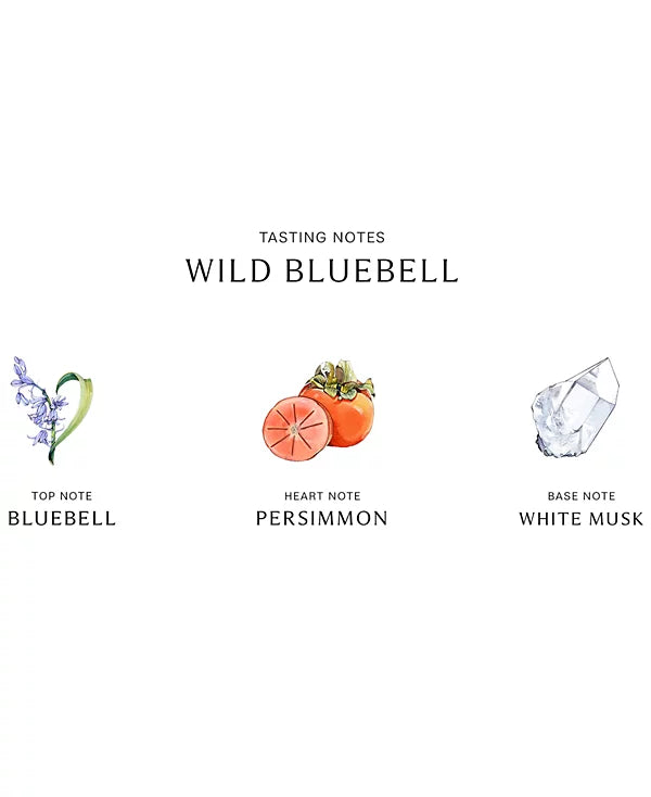 Jo Malone London Wild Bluebell Cologne 100 ml - YesMegastore