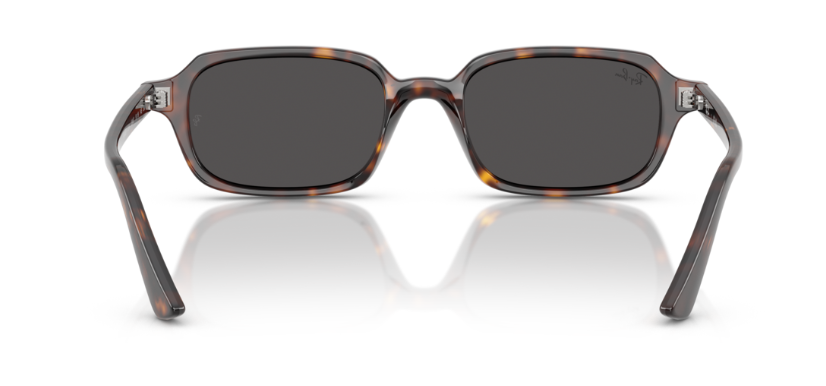 Ray-Ban 0RB4455F 135987 51