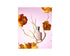 CREED Spring Flower Eau de Parfum: A Timeless Floral Elegance - YesMegastore
