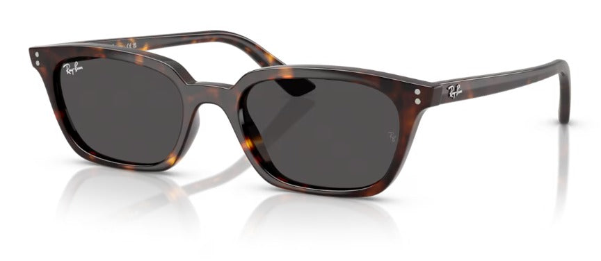 Ray-Ban 0RB4456 135987 53