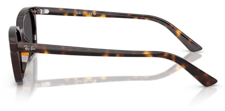 Ray-Ban 0RB4456 135987 53