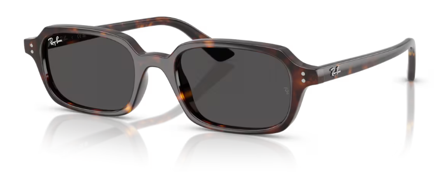 Ray-Ban 0RB4455F 135987 51
