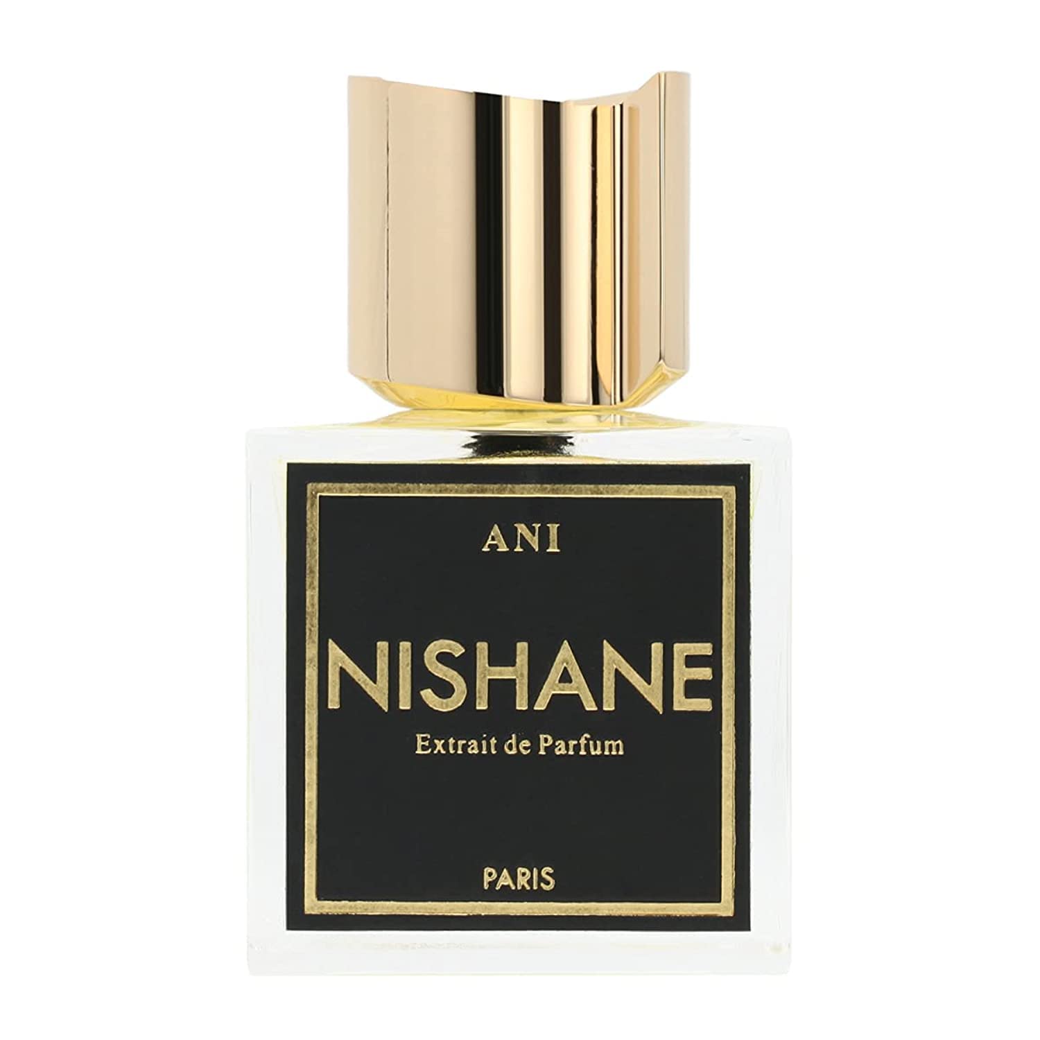 Nishane Ani Extrait de Parfum - 3.4 oz