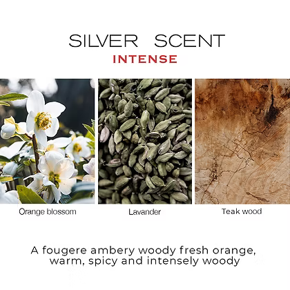 Jacques Bogart – Silver Scent Intense Eau de Toilette for Men