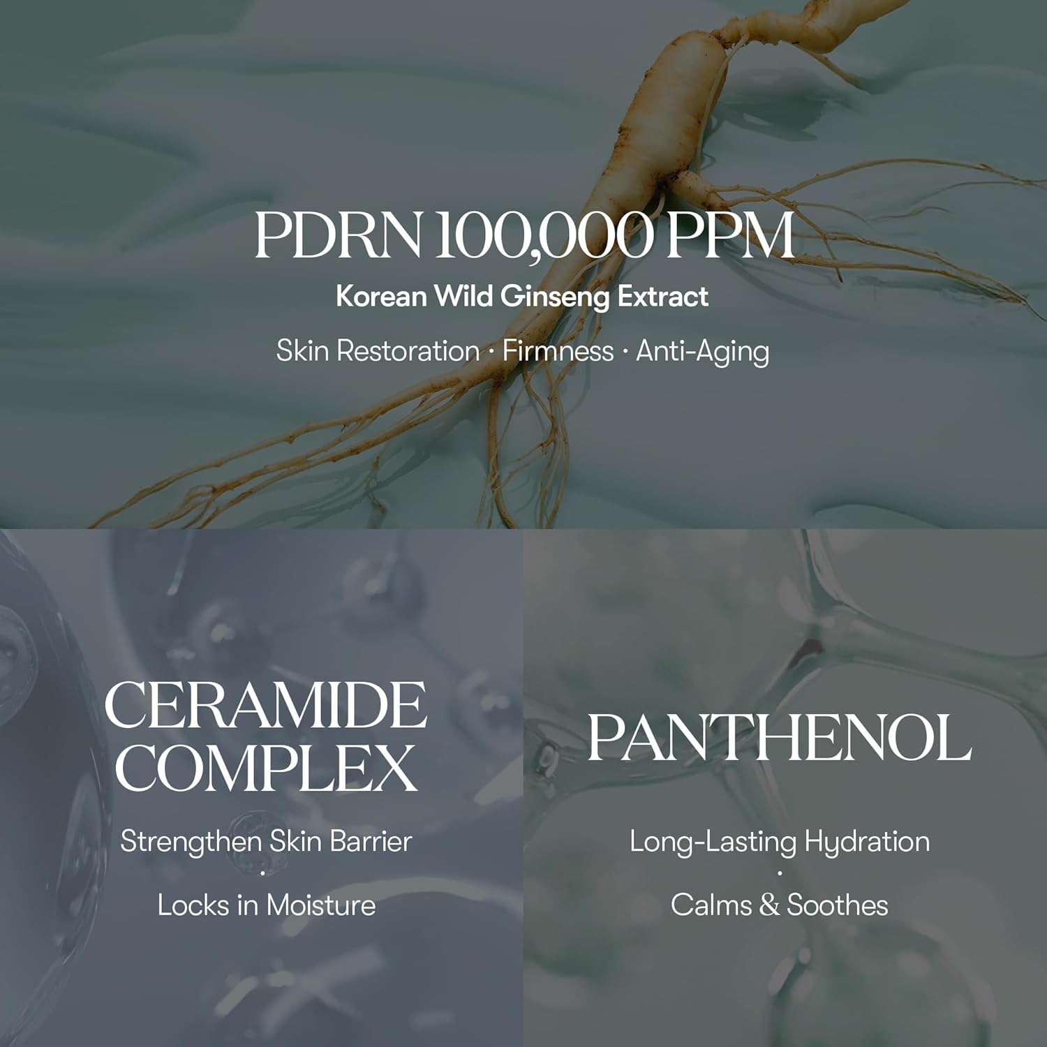 VT Cosmetics PDRN Essence 100