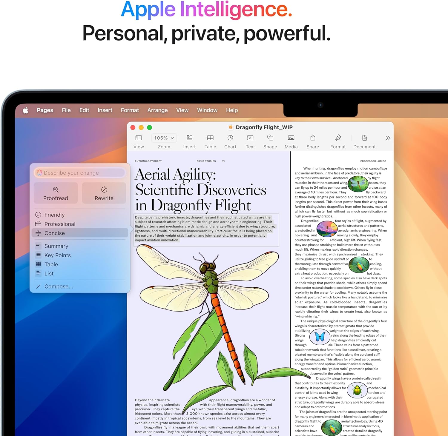 Macbook Air 13-inch Apple M4 - 512GB SSD