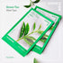 Innisfree Green Tea Energy Mask