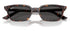 Ray-Ban 0RB4456 135987 53