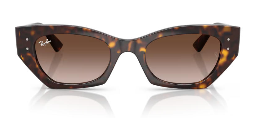 Ray-Ban 0RB4430 135913 49