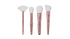 Blush & Glow Face Brush Kit By E.L.F. 4 Pcs