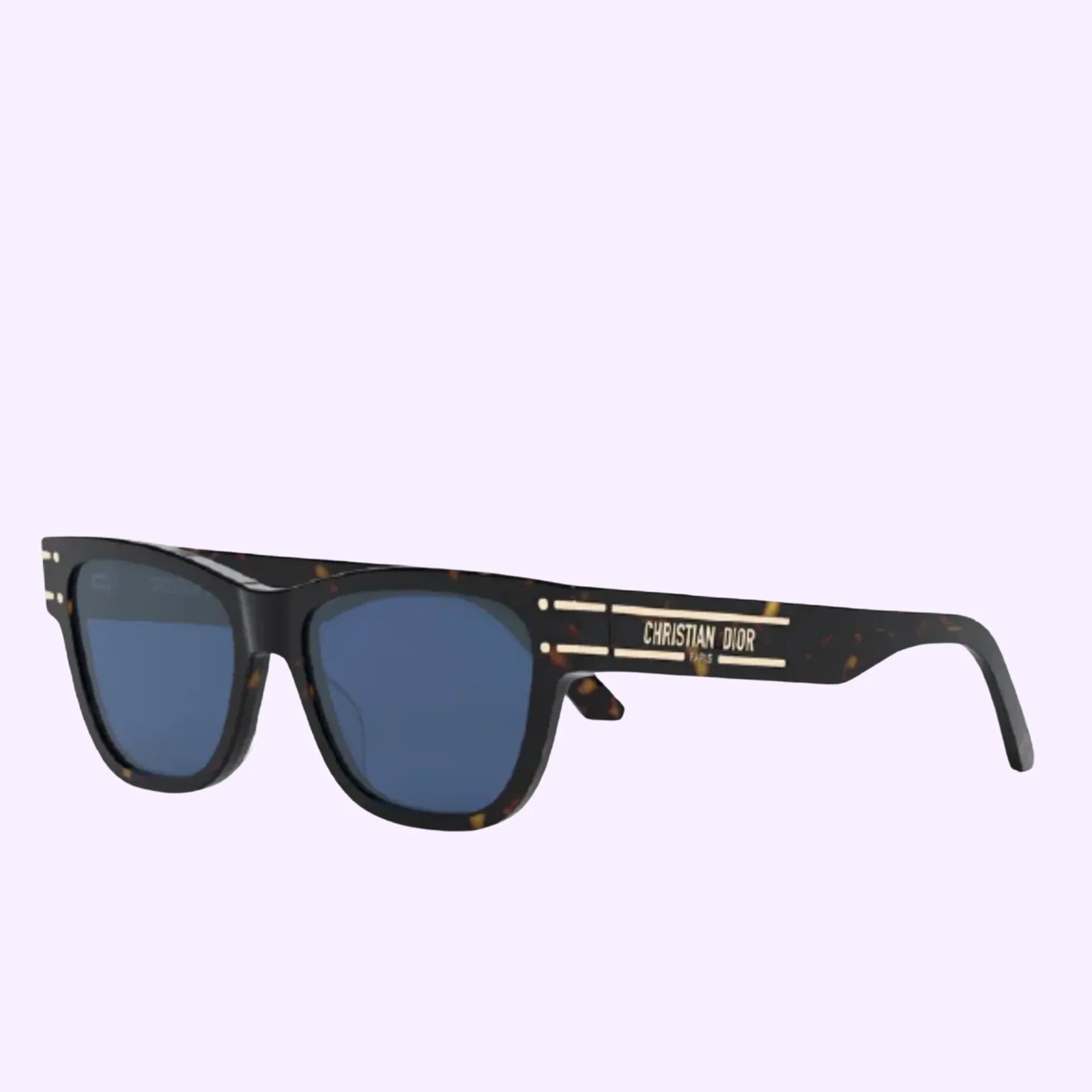 DIOR  DiorSignature S6U 20B0 · Havana