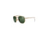 Sunglass 0RB344700153 Ray-Ban Arista / G-15 Green