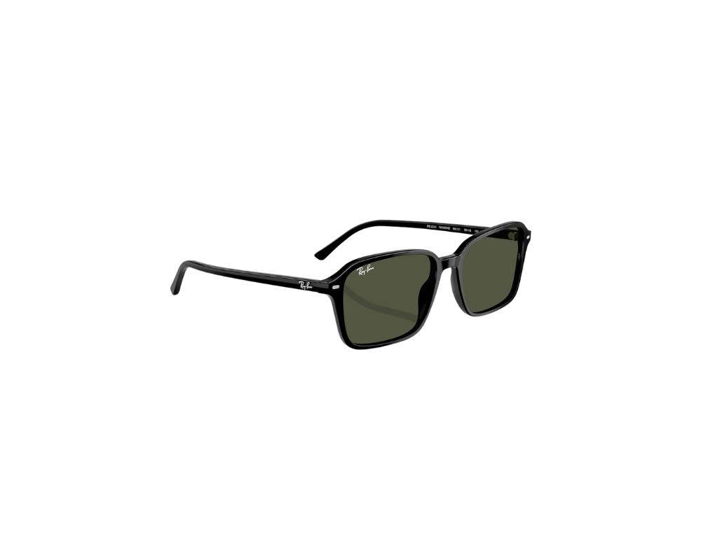 Sunglass 0RB344791993150 Ray-Ban Black / G-15 Green