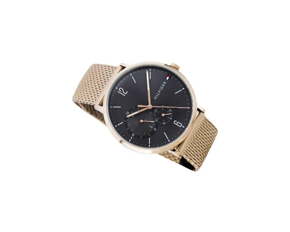 Tommy Hilfiger 1791506, Watch.