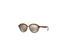 Sunglass Ray-Ban Gatsby II