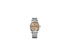 Hugo Boss 1513134, Watch.