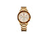 Tommy Hilfiger 1781527, Watch.