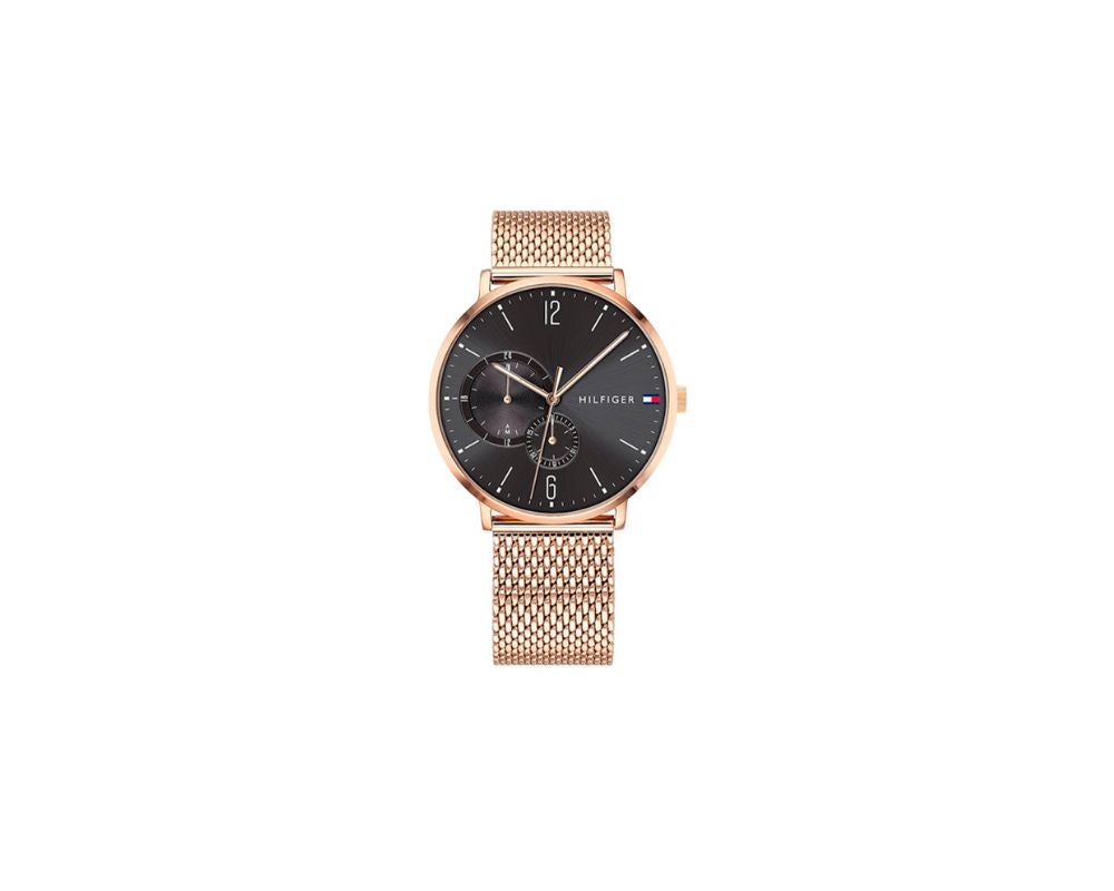 Tommy Hilfiger 1791506, Watch.