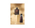 Woody Duo Holiday Gift Set: A Timeless Fragrance Experience - YesMegastore