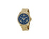 Fossil, Cecile AM4497, Watch.