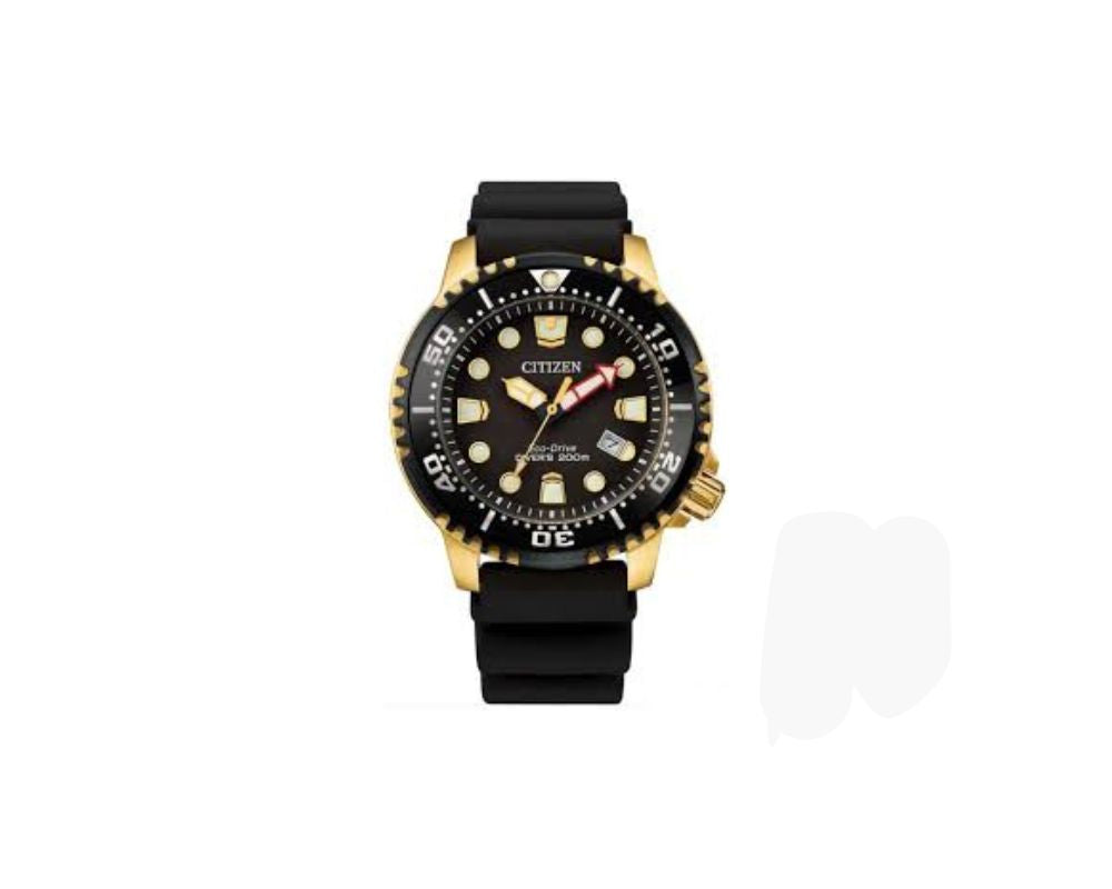 Citizen BN0152-06E, Watch.