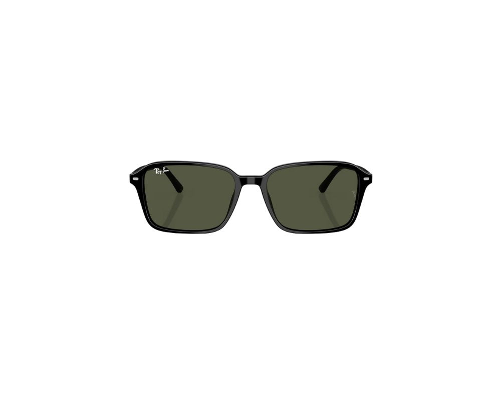 Sunglass 0RB344791993150 Ray-Ban Black / G-15 Green