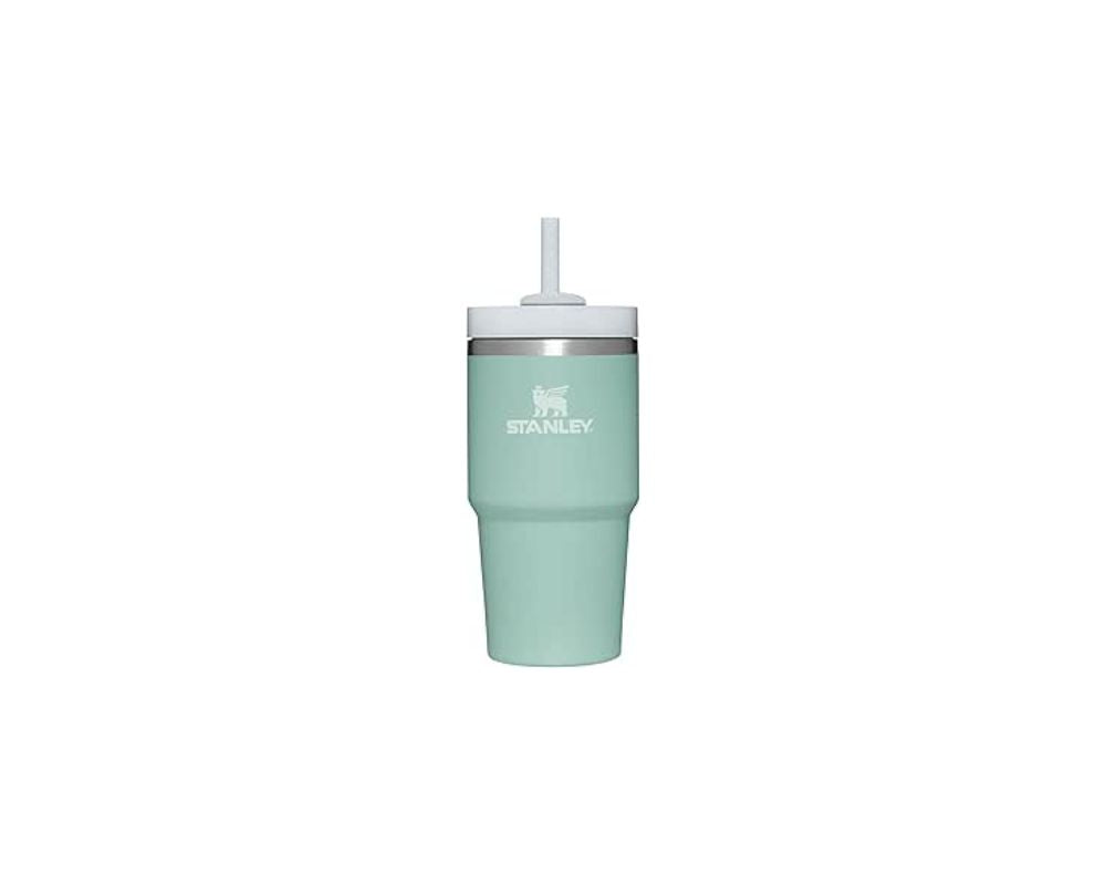 Stanley 20oz Tumbler