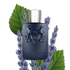 Layton by Parfums de Marly – Eau de Parfum