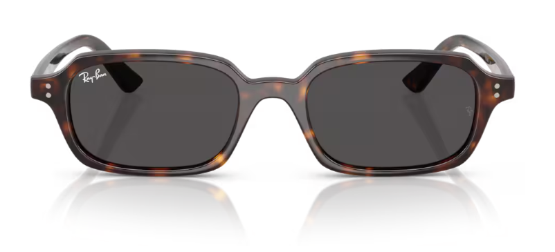 Ray-Ban 0RB4455F 135987 51