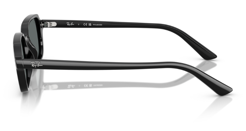 Ray-Ban 0RB4455F  667781 51