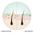 Joico Scalp Trio Kit